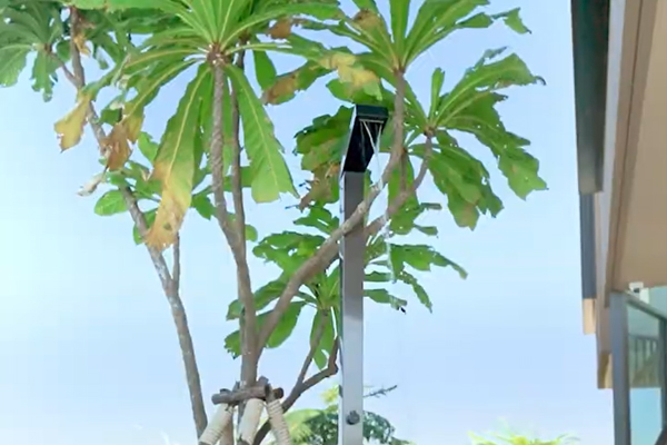 Refines the Entire Poolscape